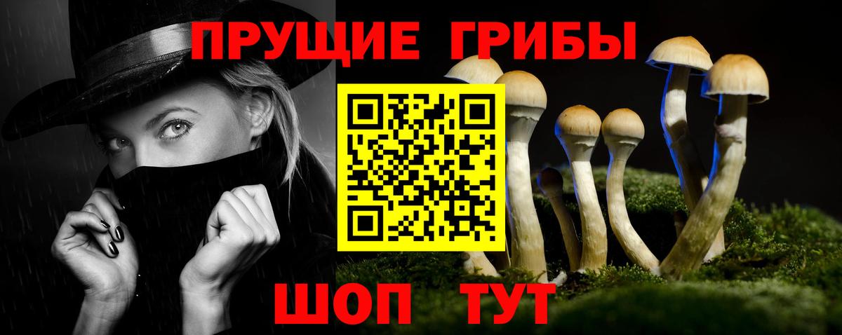 Псилоцибиновые грибы Psilocybe Белебей